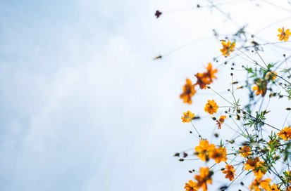 洛阳有做儿童语言康复训练的医院吗