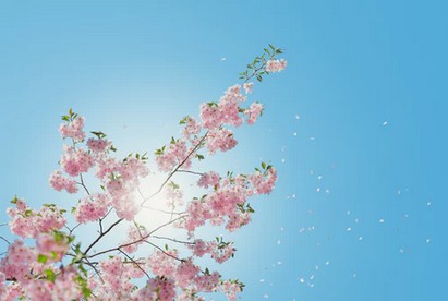 洛阳有做儿童语言康复训练的医院吗