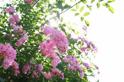 孩子快五岁了吐字还是不清晰