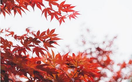 　三岁小孩说话不清楚怎么办